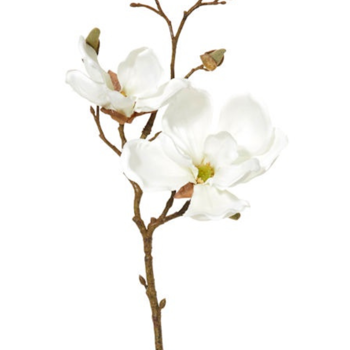 Magnolia Spray 50cm White