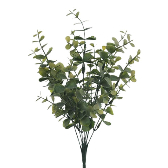 Eucalyptus bush FI8315GR