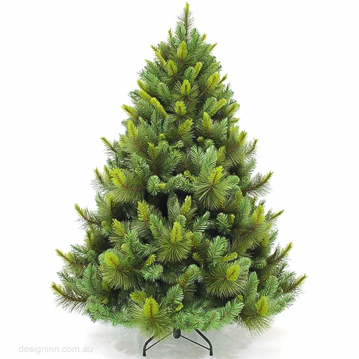 Ponderosa Pine Christmas Tree 6ft