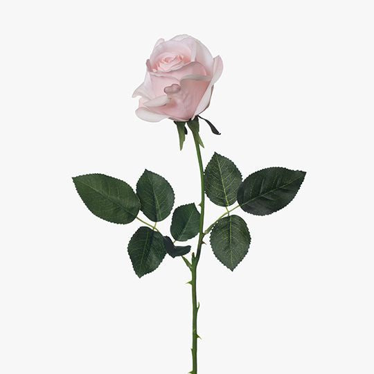 Yvie rose light pink 65cm