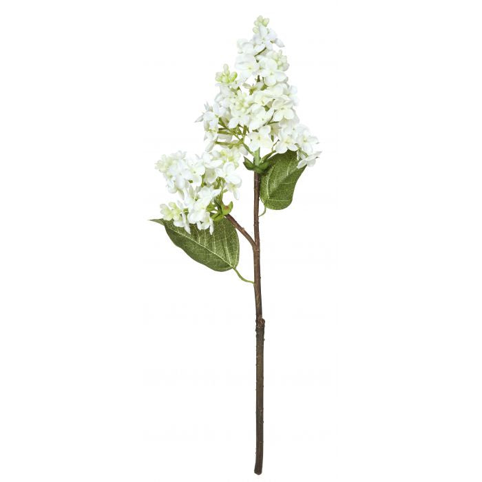 Lilac Pick 12x9x39cm white