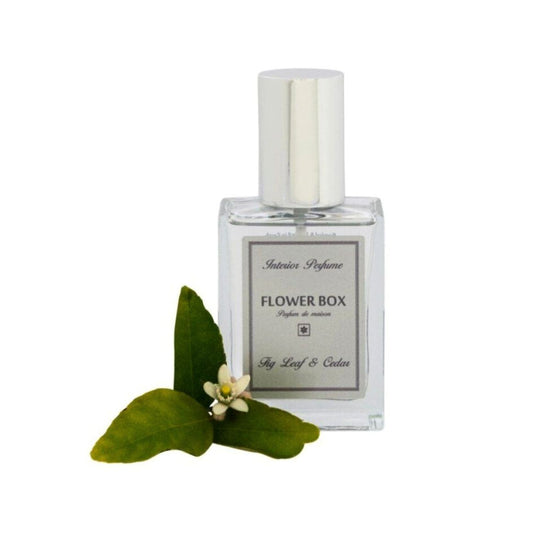 Fig Leaf & Cedar Interior Perfume 100ml