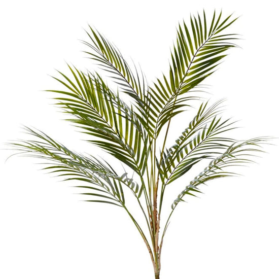 Phoenix Palm Green 90cm