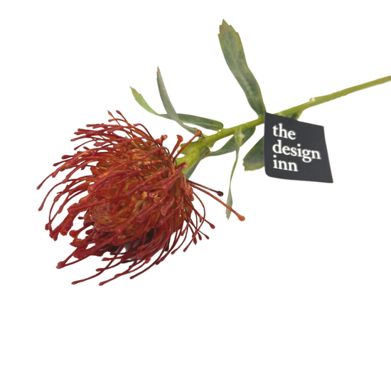 Protea Leucospermum