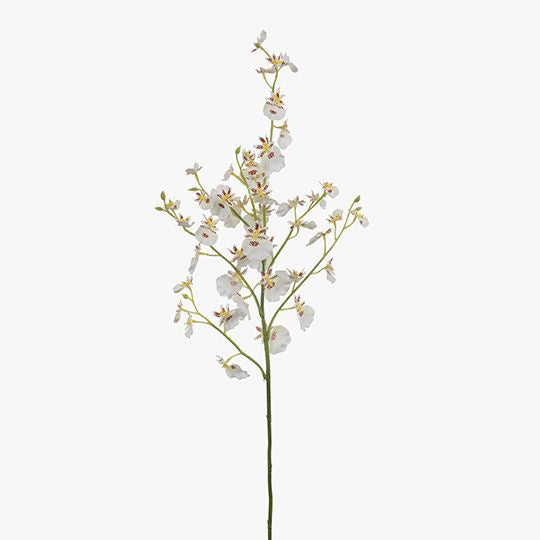 Orchid Dancing White FI8279WH
