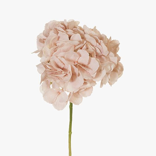 Hydrangea w/o Leaf Soft Pink