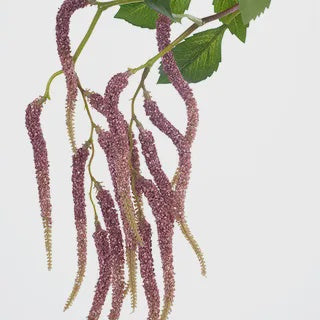 Amaranthus Spray - Pink