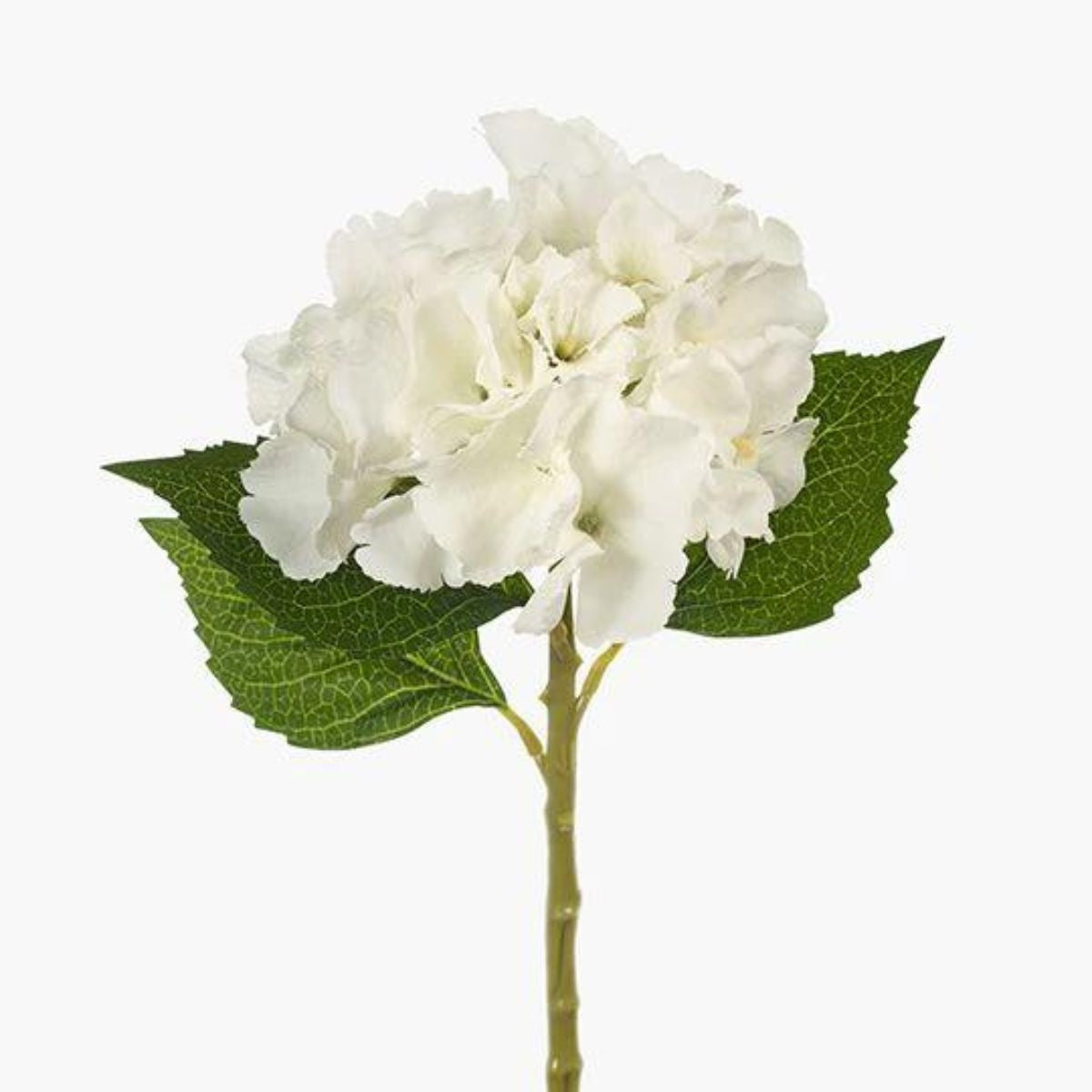 Hydrangea Stem - White